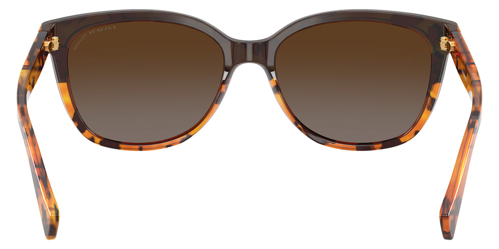 Coach HC8132 L109 5438T5 57 - Black Tortoise Gradient / Brown Gradient Polarized #id:hc81325438t5_s:106115