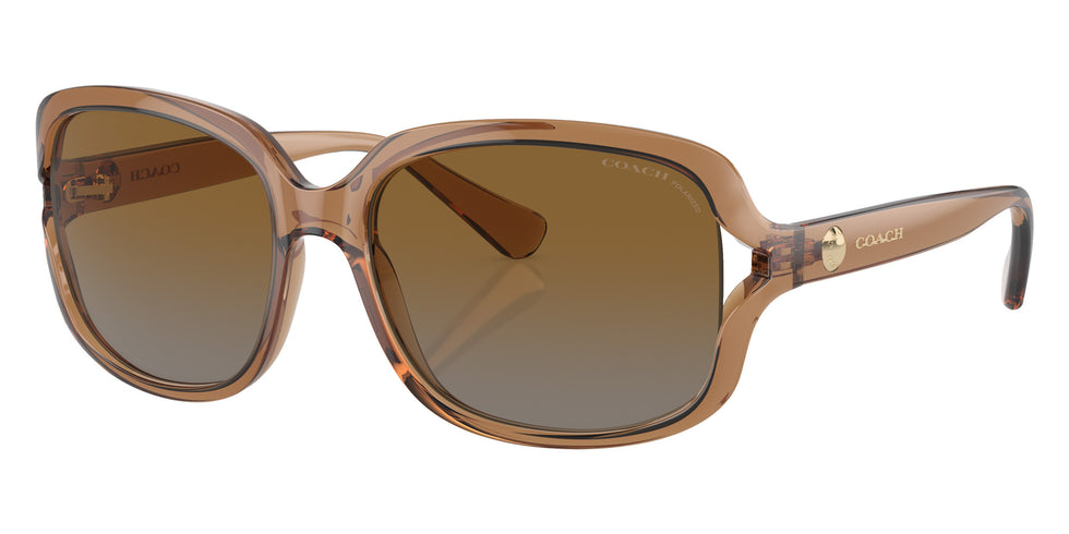 Coach HC8169 L149 5561T5 57 - Transparent Brown / Brown Gray Gradient Polarized #id:hc81695561t5_s:102105