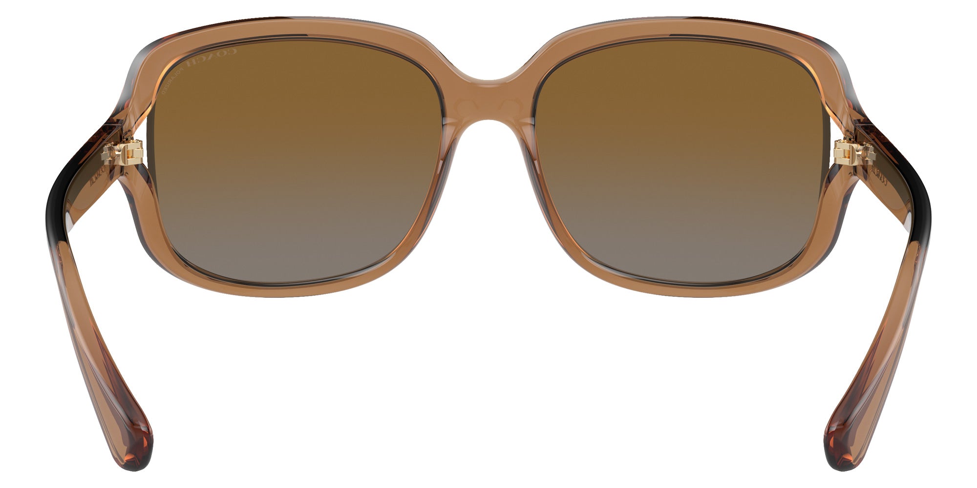 Coach HC8169 L149 5561T5 57 - Transparent Brown / Brown Gray Gradient Polarized #id:hc81695561t5_s:102115