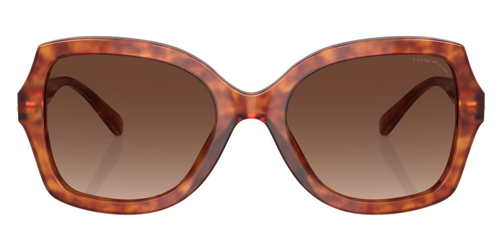 Coach HC8295 L1147 5774T5 56 - Caramel Tortoise / Brown Gradient Polarized #id:hc82955774t5_s:104100