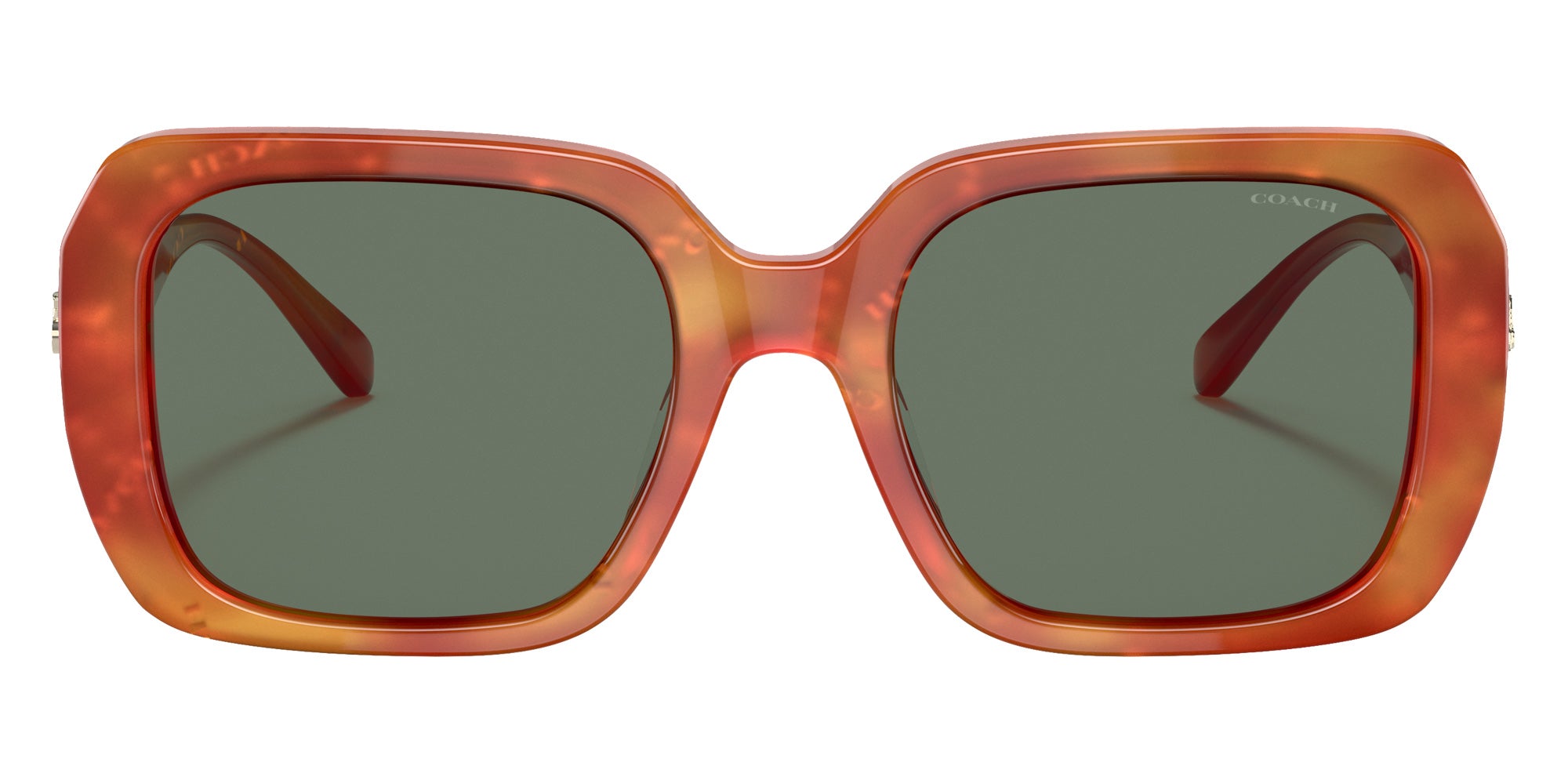 Coach HC8329U C6188 56603H 53 - Amber Tortoise/Coach Print / Dark Green Solid #id:hc8329u56603h_s:104100