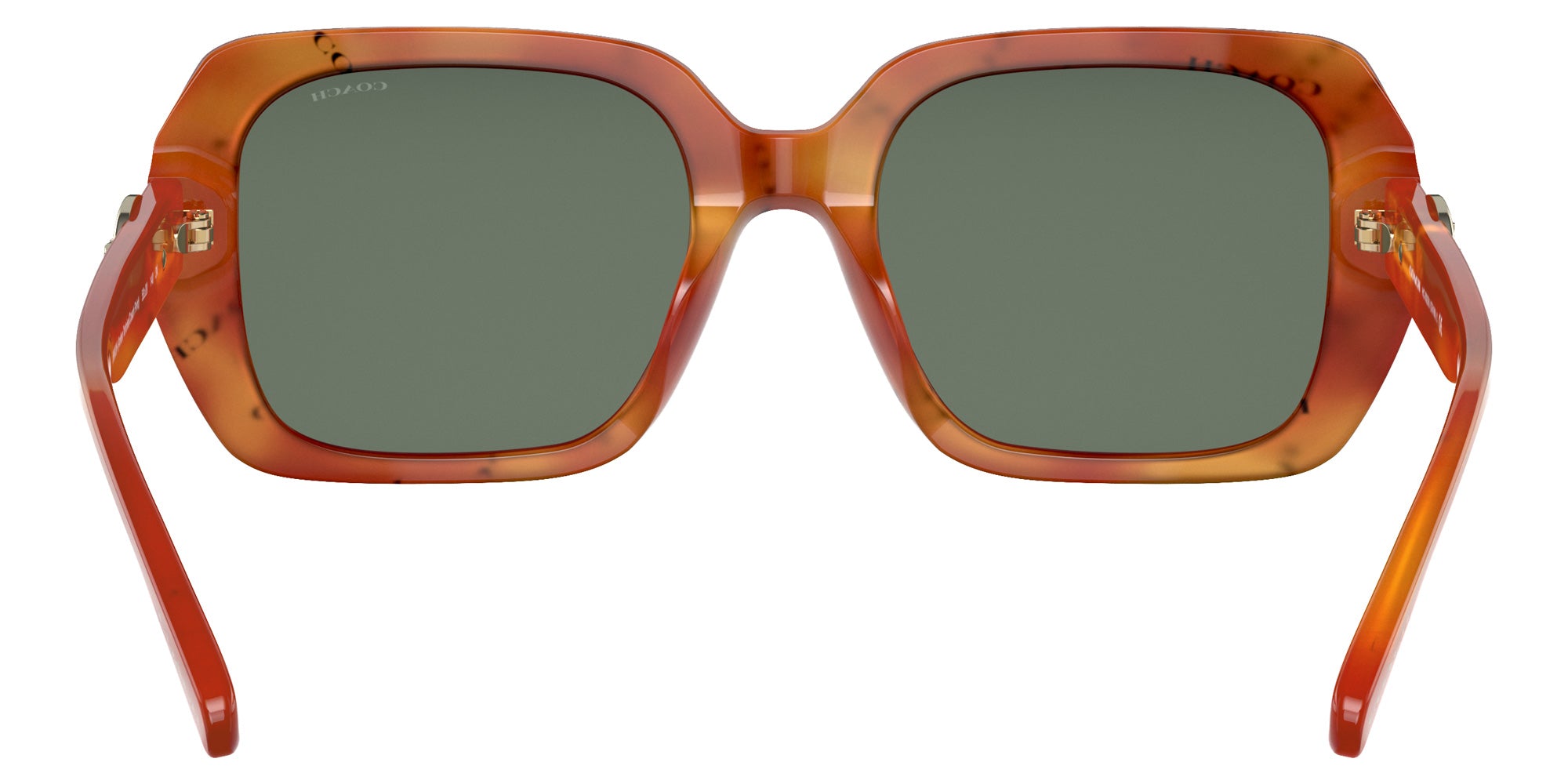 Coach HC8329U C6188 56603H 53 - Amber Tortoise/Coach Print / Dark Green Solid #id:hc8329u56603h_s:104115