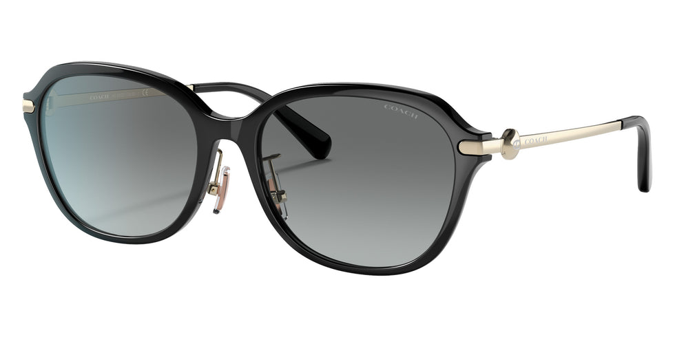 Coach HC8332D C6199 500211 56 - Black / Gray Gradient #id:hc8332d500211_s:100105