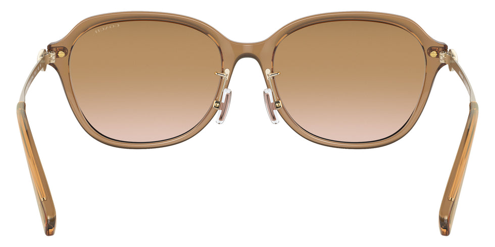 Coach HC8332D C6199 565413 56 - Transparent Brown / Brown Gradient #id:hc8332d565413_s:104115