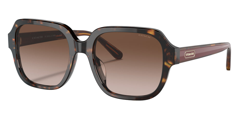 Coach HC8335U C7989 512013 53 - Dark Tortoise / Brown Gradient #id:hc8335u512013_s:102105