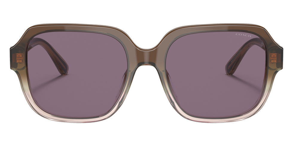 Coach HC8335U C7989 56781A 53 - Transparent Brown Gradient / Violet Solid #id:hc8335u56781a_s:104100
