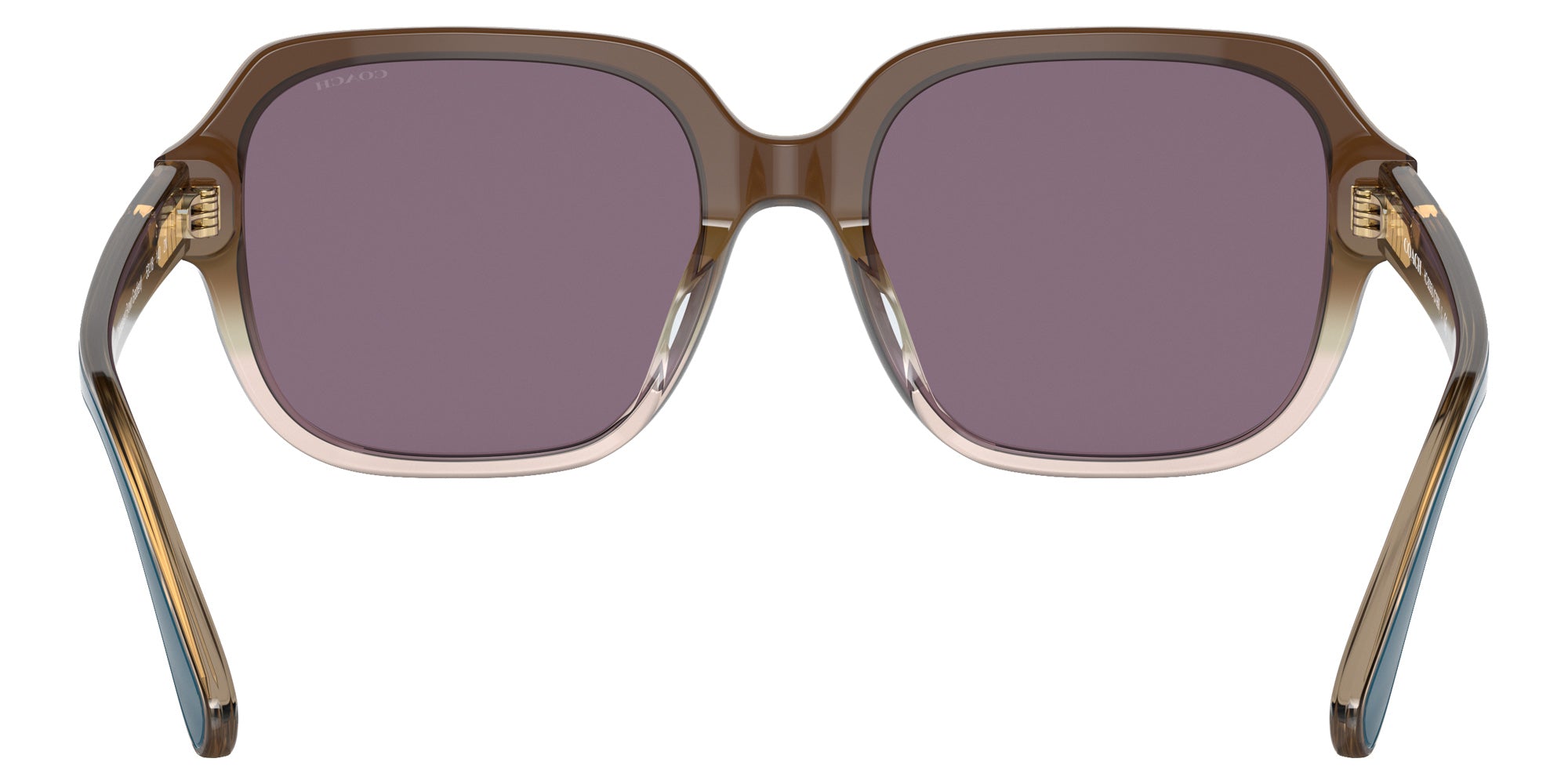 Coach HC8335U C7989 56781A 53 - Transparent Brown Gradient / Violet Solid #id:hc8335u56781a_s:104115