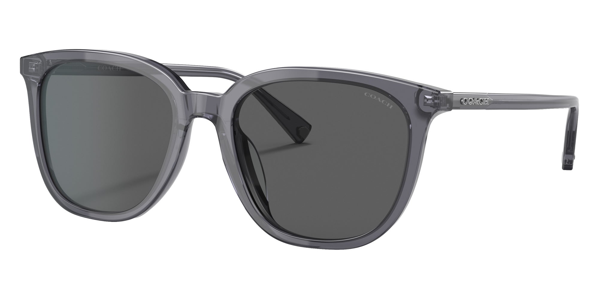 Coach HC8338U C8006 553787 55 - Transparent Dark Gray / Dark Gray Solid #id:hc8338u553787_s:102105