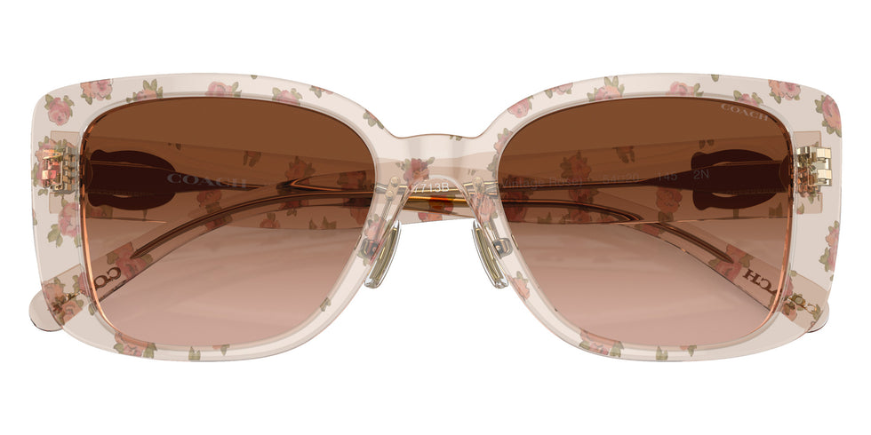 Coach HC8352 CD472 57713B 54 - Mini Vintage Rose / Brown Gradient #id:hc835257713b_s:104120