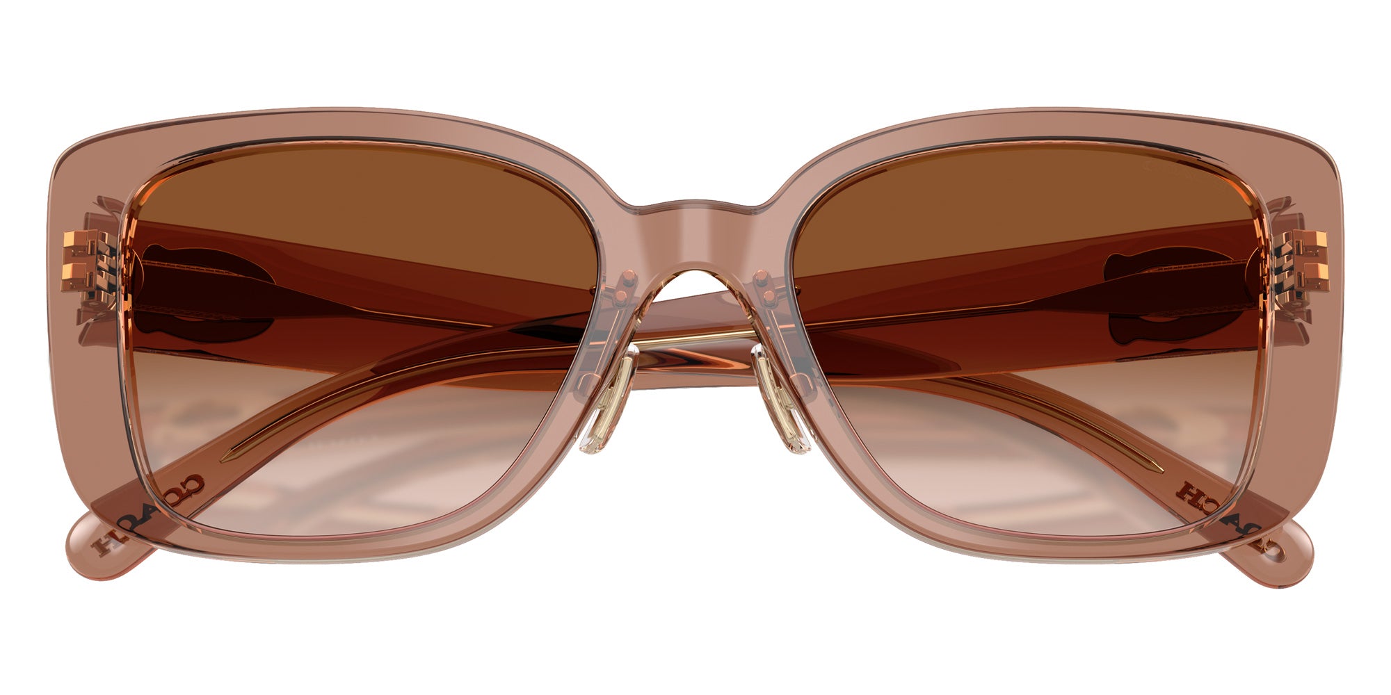 Coach HC8352 CD472 577913 54 - Brown/Gray / Brown Gradient #id:hc8352577913_s:106120
