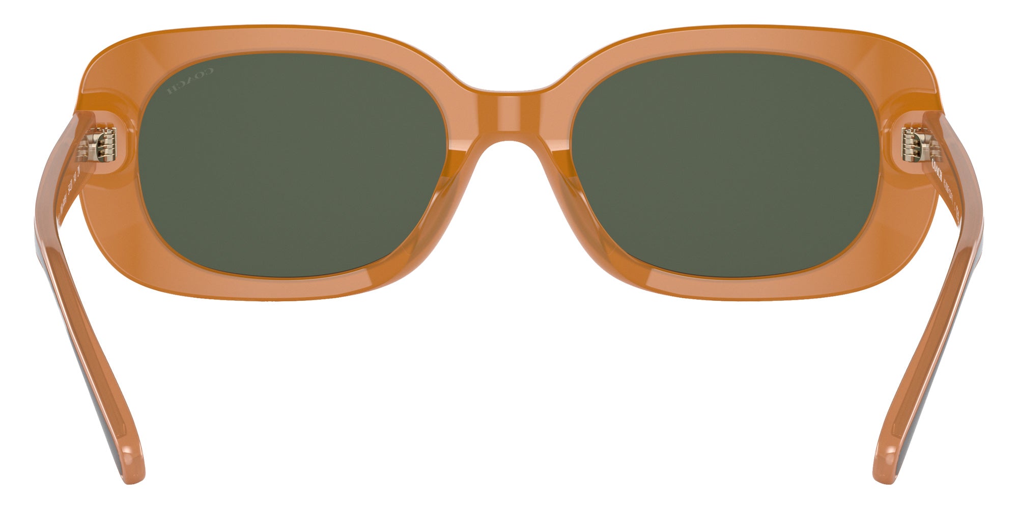 Coach HC8358F CD868 571282 56 - Milky Amber / Green Solid #id:hc8358f571282_s:102115