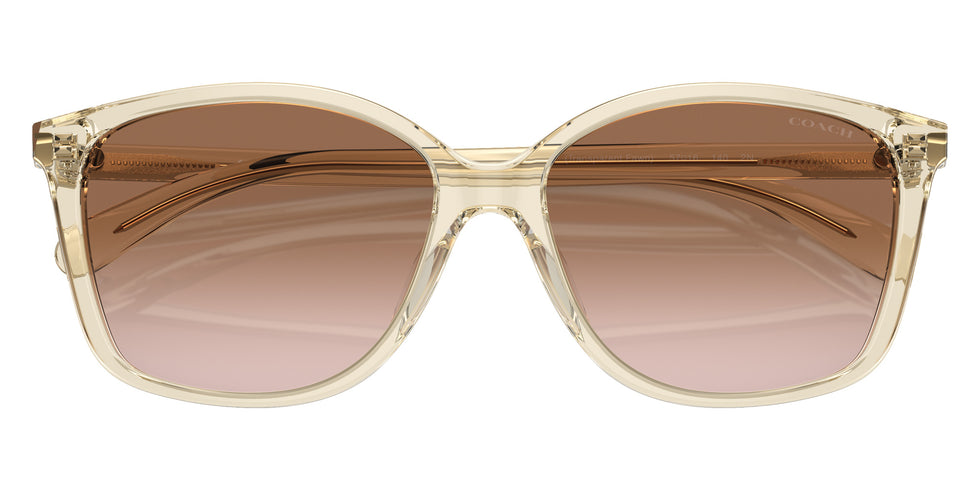 Coach HC8361U CH558 573613 57 - Transparent Fawn / Brown Gradient #id:hc8361u573613_s:100120
