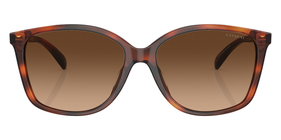 Coach HC8361U CH558 574174 57 - Caramel Tortoise / Brown Gradient #id:hc8361u574174_s:102100