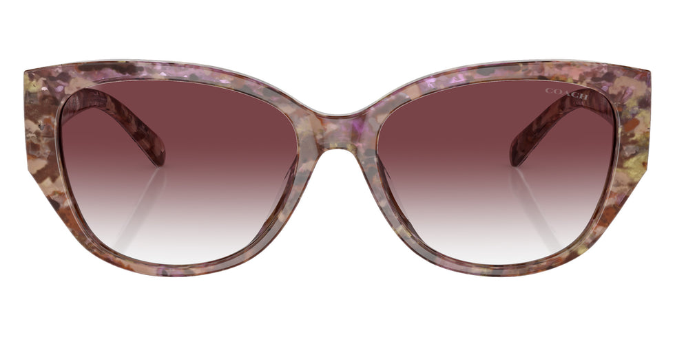 Coach HC8362U CH563 57398H 57 - Petal Tortoise / Purple Clear Gradient #id:hc8362u57398h_s:102100