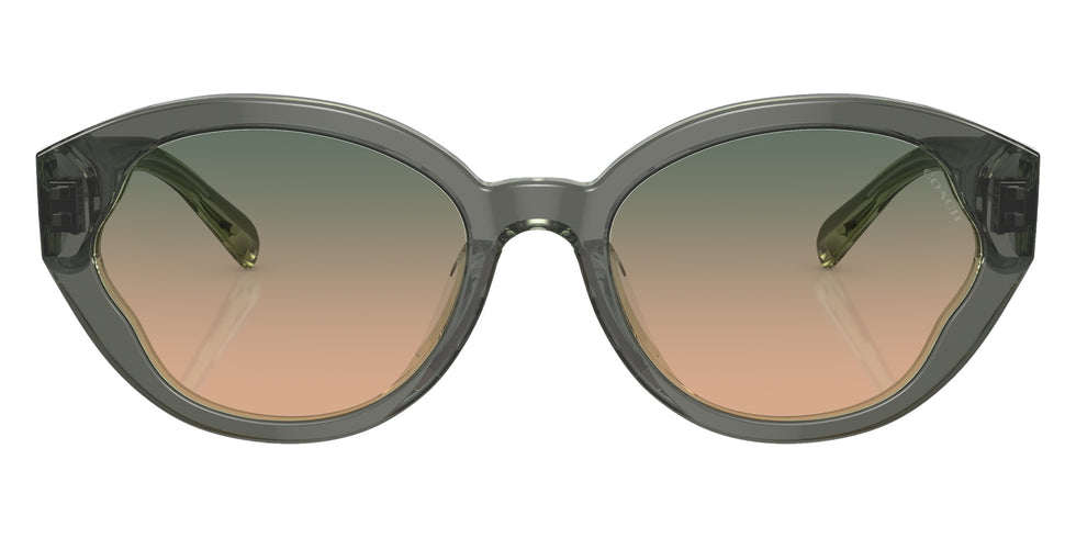 Coach HC8364U CH569 574613 55 - Moss/Mint / Green Beige Gradient #id:hc8364u574613_s:100100
