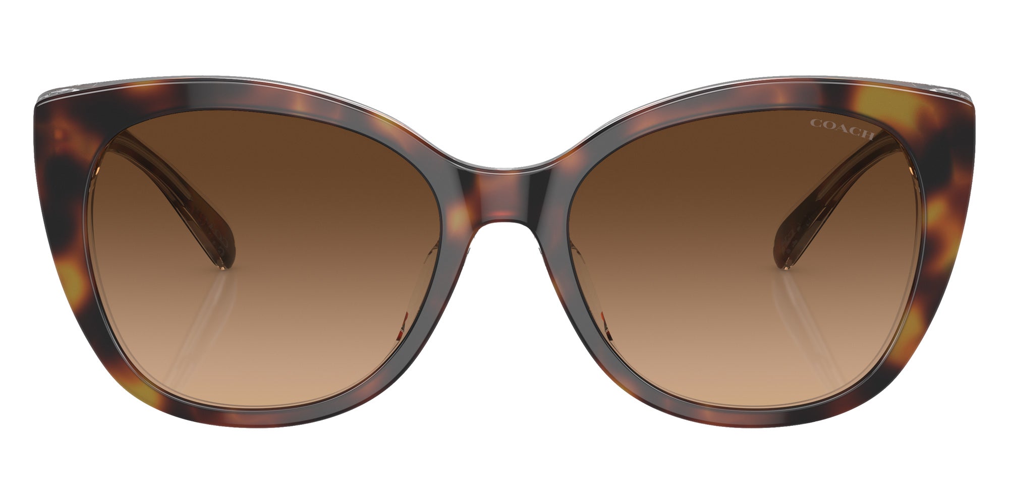 Coach HC8365U CH566 574274 55 - Tortoise/Transparent Beige / Brown Gradient #id:hc8365u574274_s:100100