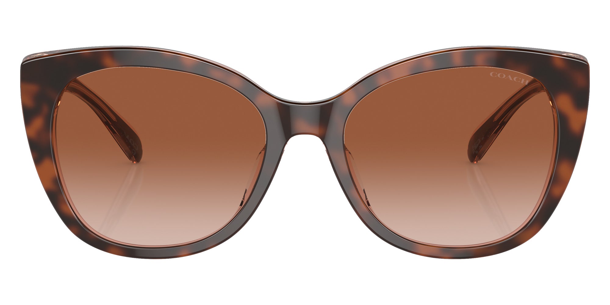 Coach HC8365U CH566 574413 55 - Tortoise/Transparent Pink / Brown Pink Gradient #id:hc8365u574413_s:102100