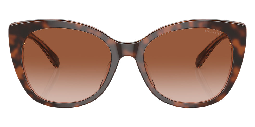 Coach HC8365U CH566 574413 55 - Tortoise/Transparent Pink / Brown Pink Gradient #id:hc8365u574413_s:102100