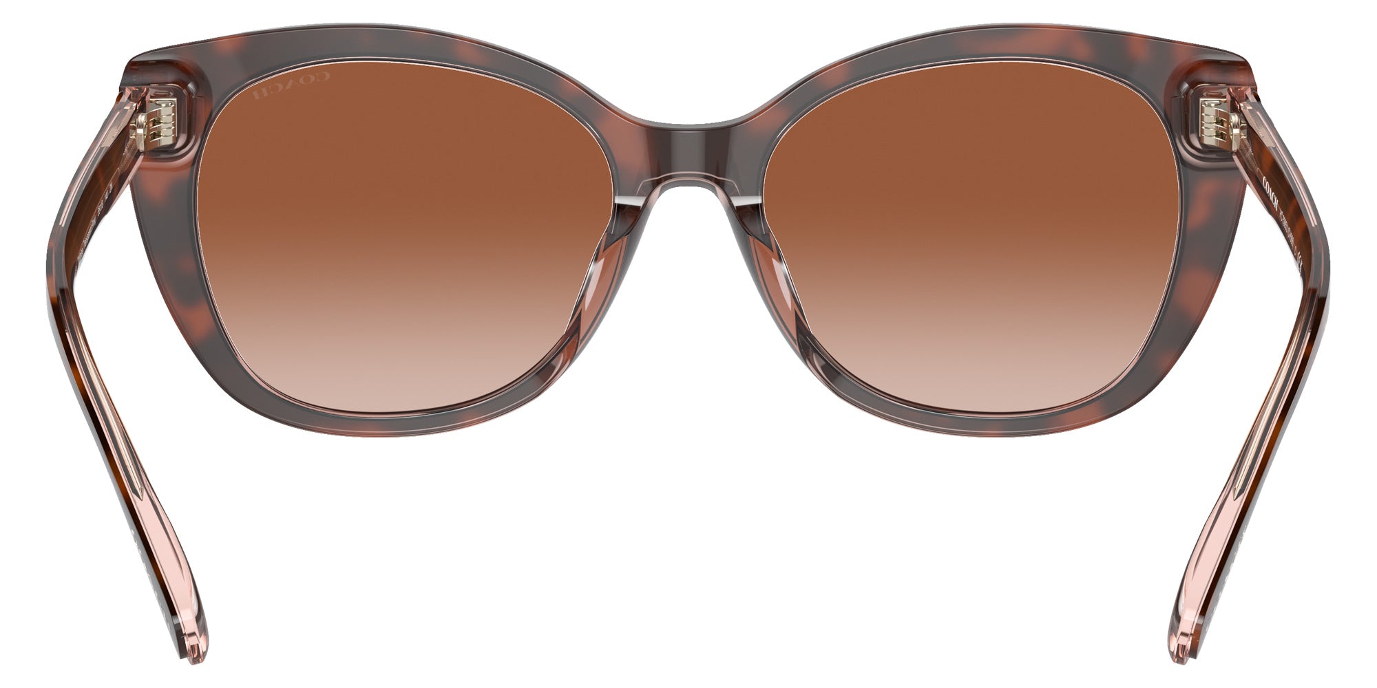 Coach HC8365U CH566 574413 55 - Tortoise/Transparent Pink / Brown Pink Gradient #id:hc8365u574413_s:102115