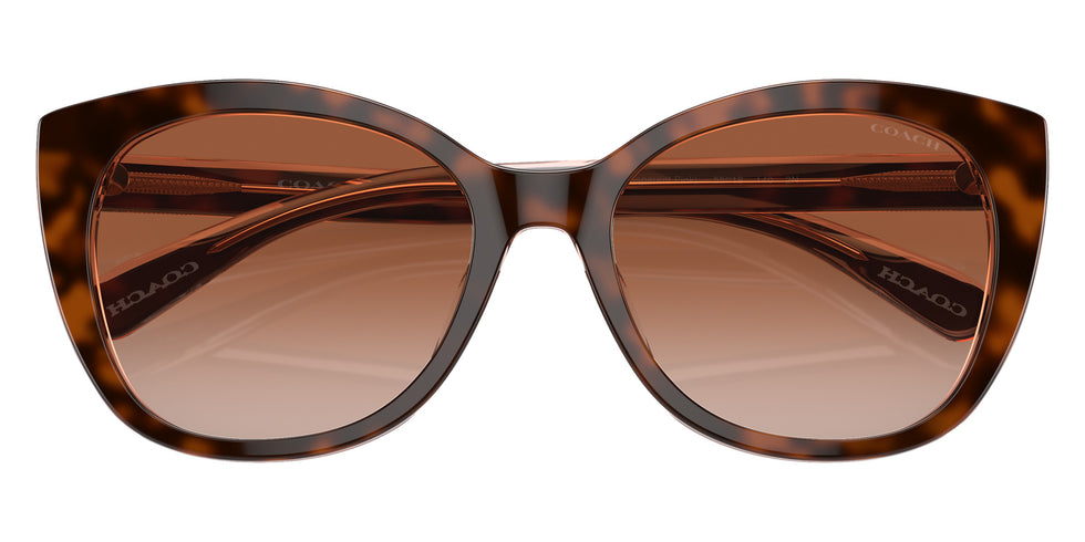 Coach HC8365U CH566 574413 55 - Tortoise/Transparent Pink / Brown Pink Gradient #id:hc8365u574413_s:102120