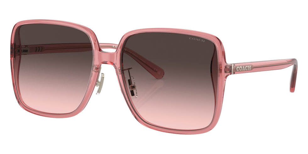 Coach HC8368D CH572 580046 61 - Transparent Berry / Gray Pink Gradient #id:hc8368d580046_s:106105