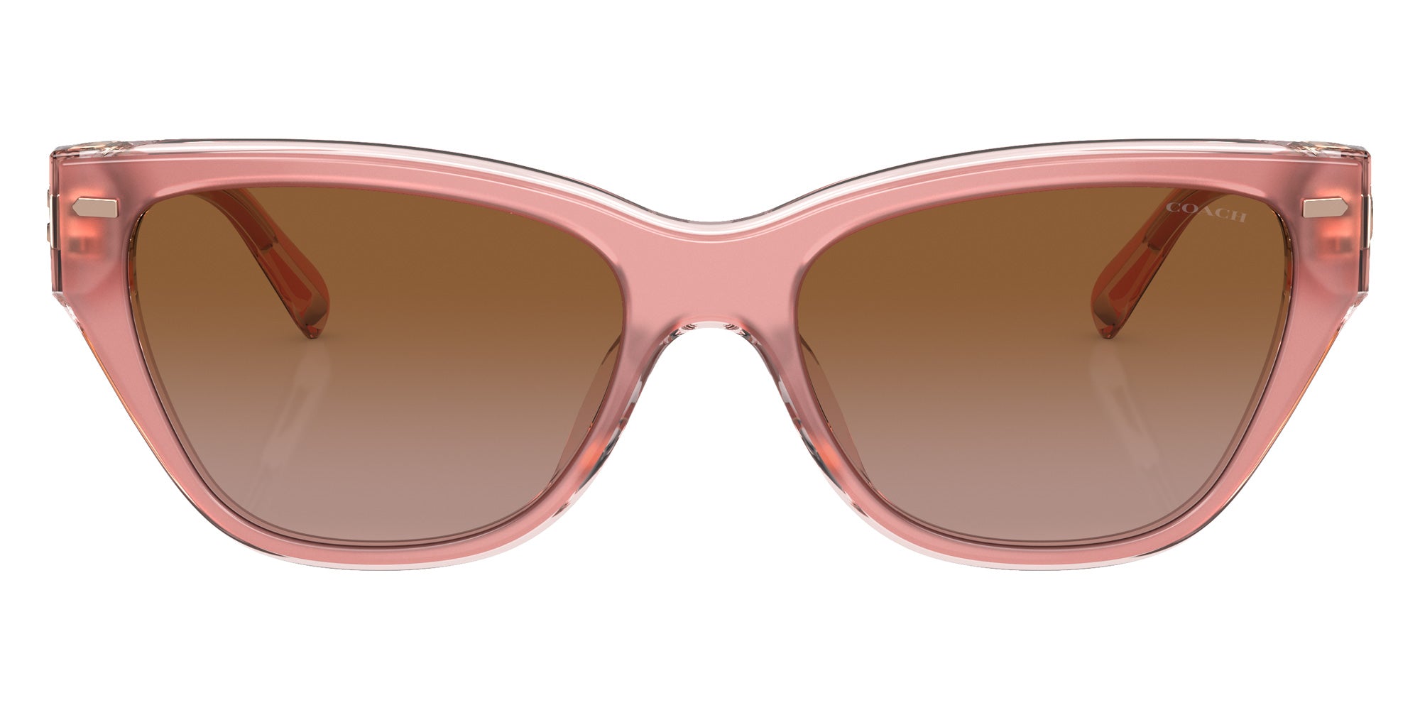 Coach HC8370U CH570 574313 54 - Milky Pink/Transparent Pink / Brown Gradient #id:hc8370u574313_s:100100