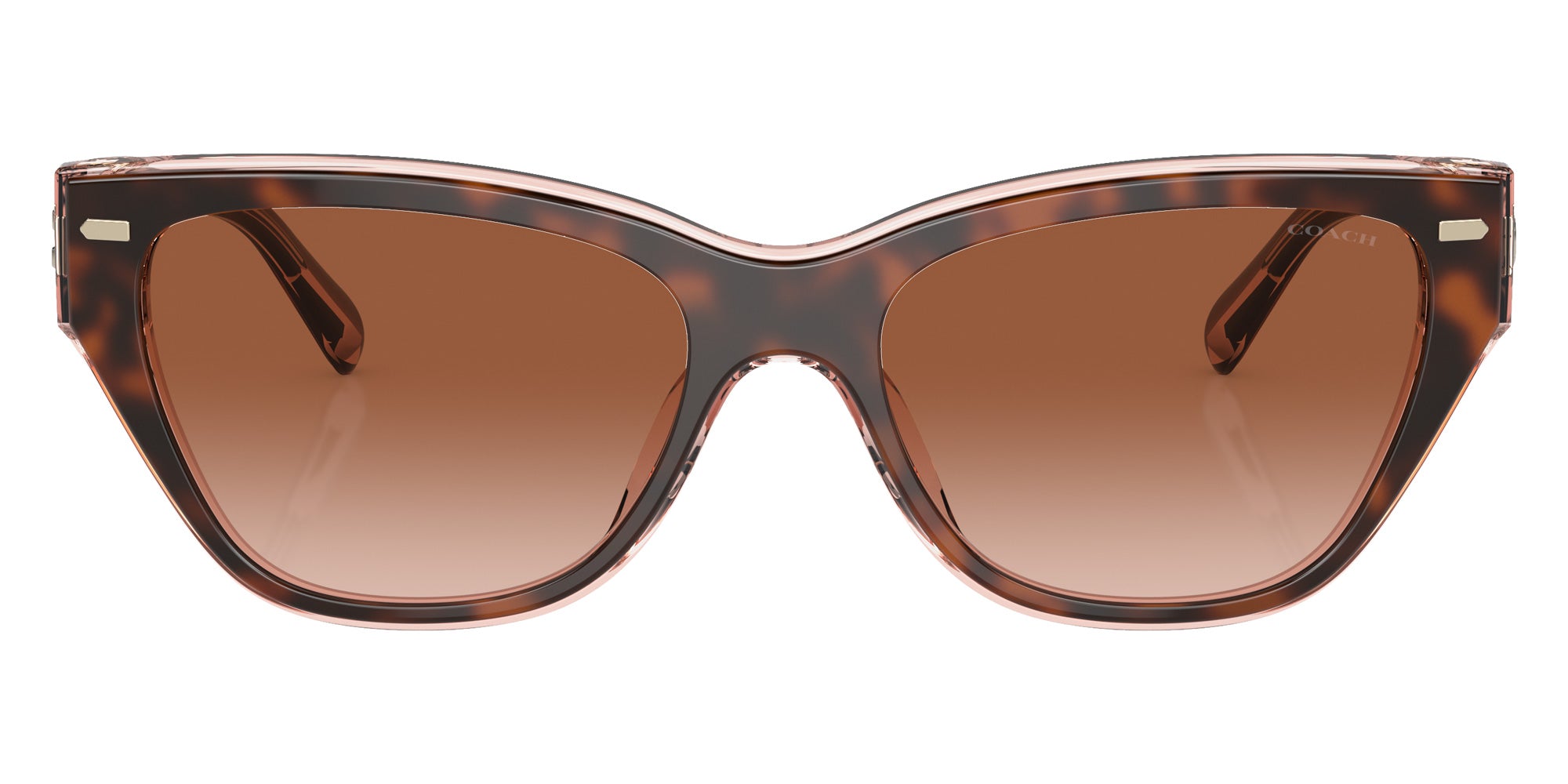 Coach HC8370U CH570 574413 54 - Tortoise/Transparent Pink / Brown Pink Gradient #id:hc8370u574413_s:100100
