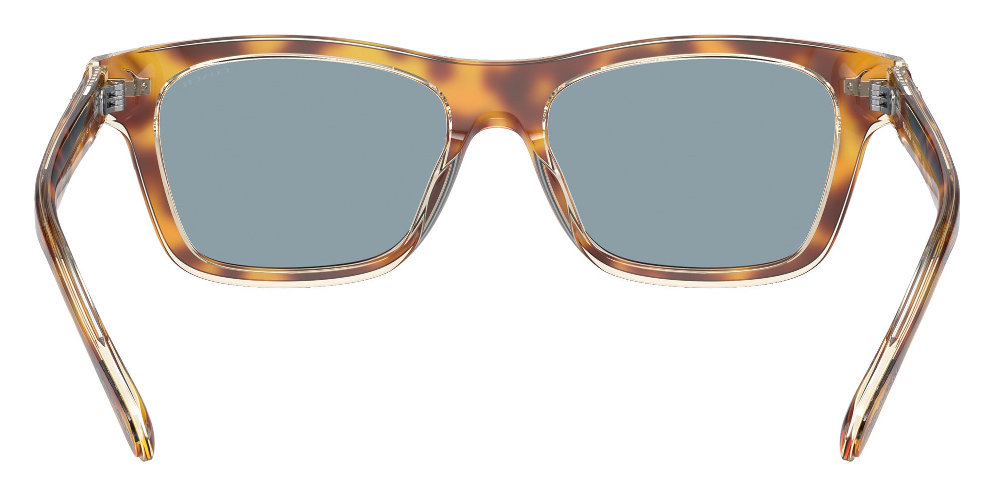Coach HC8371U CH583 575672 54 - Tortoise/Transparent Beige / Light Blue Solid #id:hc8371u575672_s:100115