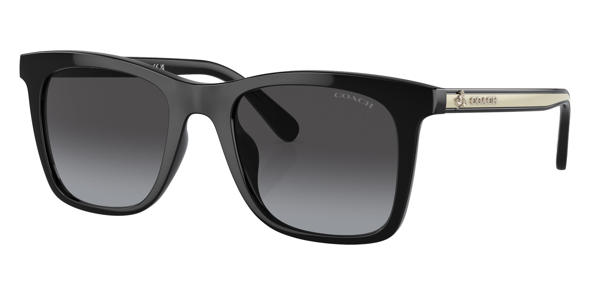 Coach HC8374F CK463 50028G 54 - Black / Gray Gradient #id:hc8374f50028g_s:100105