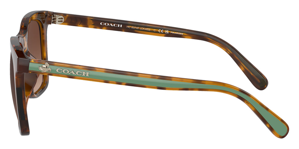 Coach HC8374F CK463 5120T5 54 - Dark Tortoise / Brown Gradient Polarized #id:hc8374f5120t5_s:102110