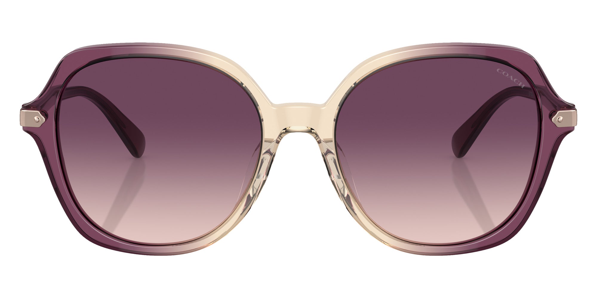 Coach HC8377U CL925 57737W 55 - Multi / Purple Gradient #id:hc8377u57737w_s:104100