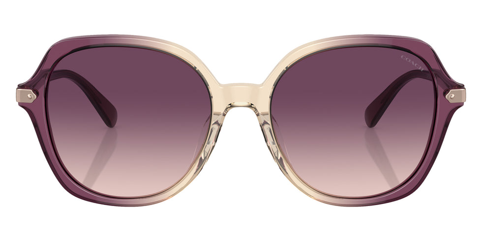 Coach HC8377U CL925 57737W 55 - Multi / Purple Gradient #id:hc8377u57737w_s:104100
