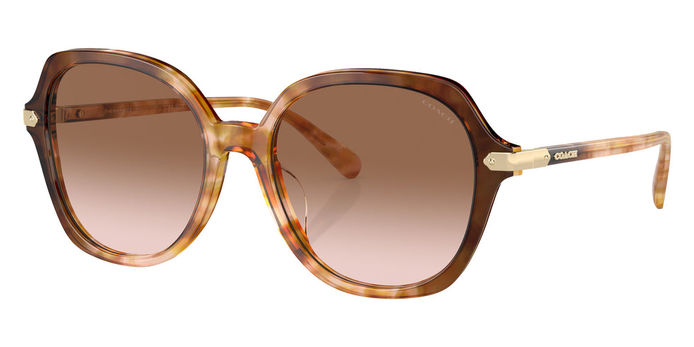 Coach HC8377U CL925 57753C 55 - Caramel Snow Tortoise Gradient / Brown Pink Gradient #id:hc8377u57753c_s:106105