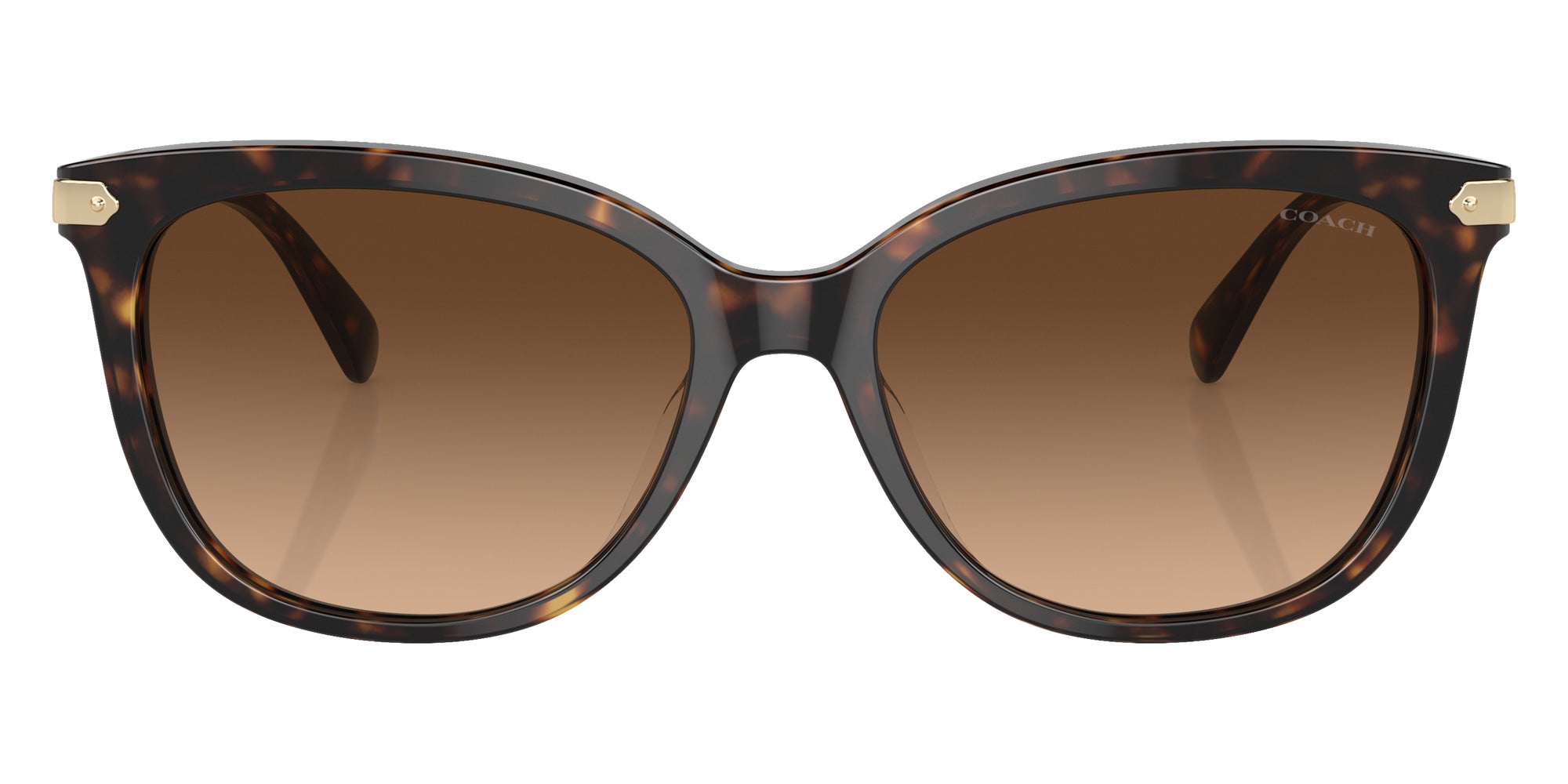 Coach HC8378U CL926 512074 57 - Dark Tortoise / Brown Gradient #id:hc8378u512074_s:102100