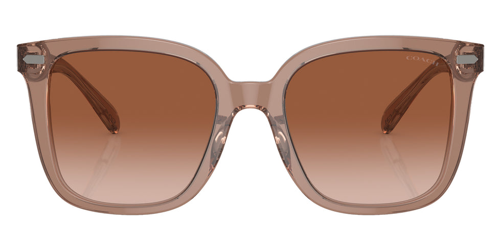 Coach HC8381F CL919 577913 56 - Brown / Brown Gradient #id:hc8381f577913_s:100100