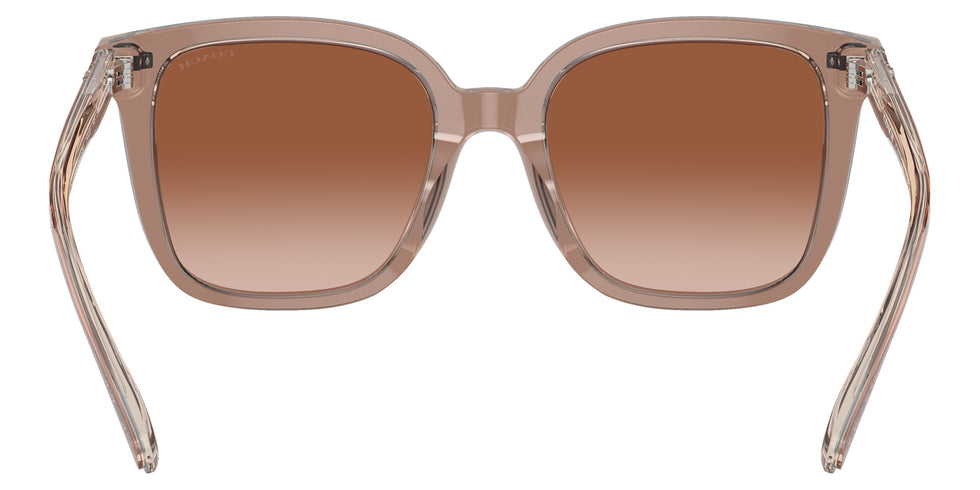 Coach HC8381F CL919 577913 56 - Brown / Brown Gradient #id:hc8381f577913_s:100115