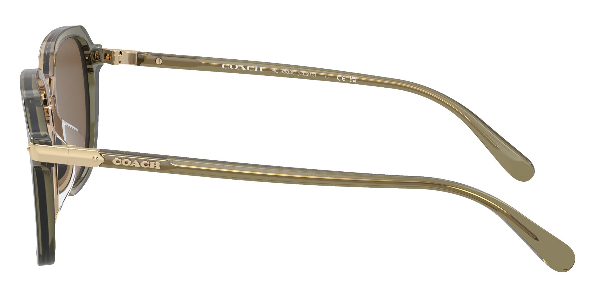 Coach HC8383U CL912 579773 55 - Transparent Green Tan Gradient / Brown Solid #id:hc8383u579773_s:104110