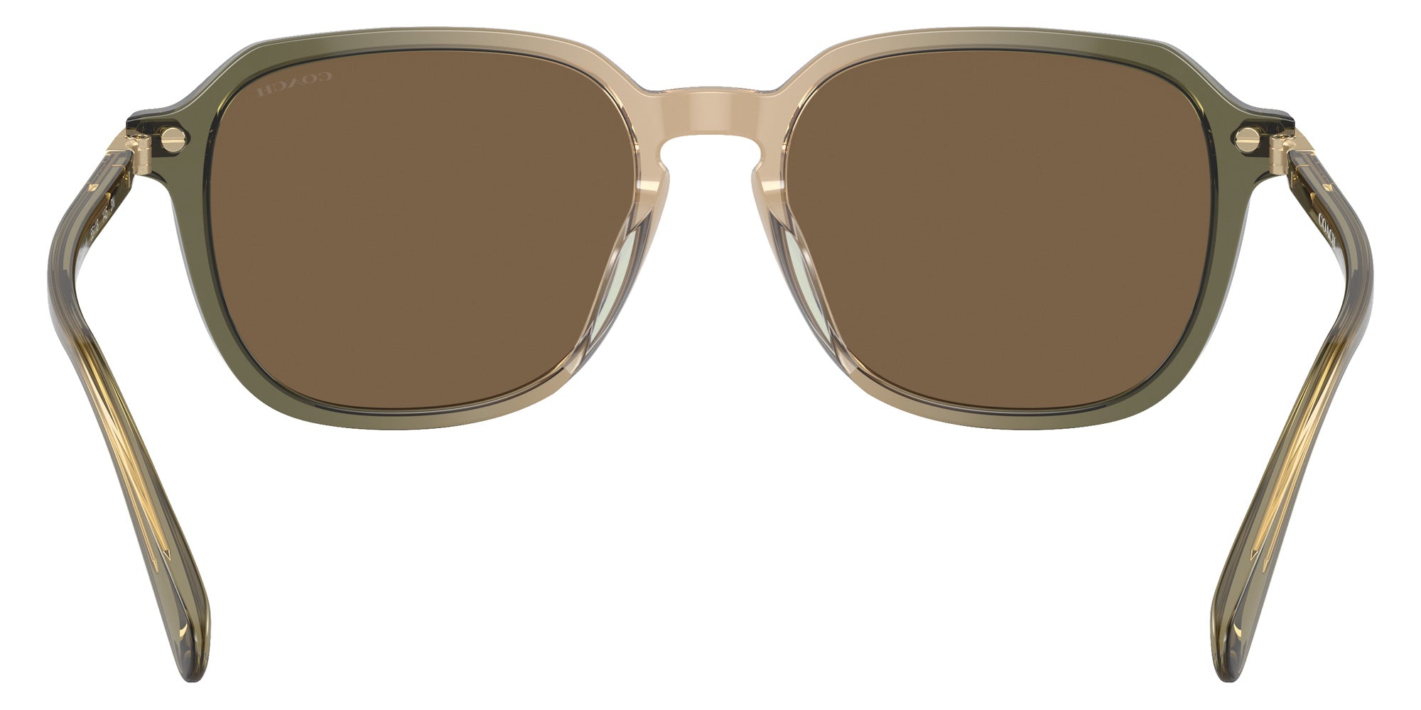 Coach HC8383U CL912 579773 55 - Transparent Green Tan Gradient / Brown Solid #id:hc8383u579773_s:104115