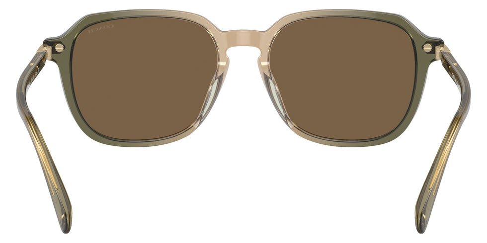 Coach HC8383U CL912 579773 55 - Transparent Green Tan Gradient / Brown Solid #id:hc8383u579773_s:104115