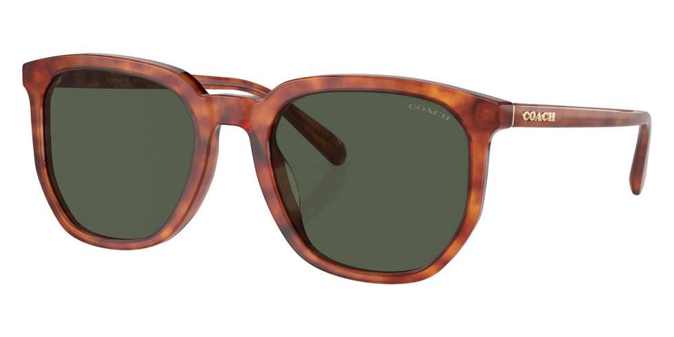 Coach HC8384U CL911 577482 55 - Caramel Tortoise / Green #id:hc8384u577482_s:102105