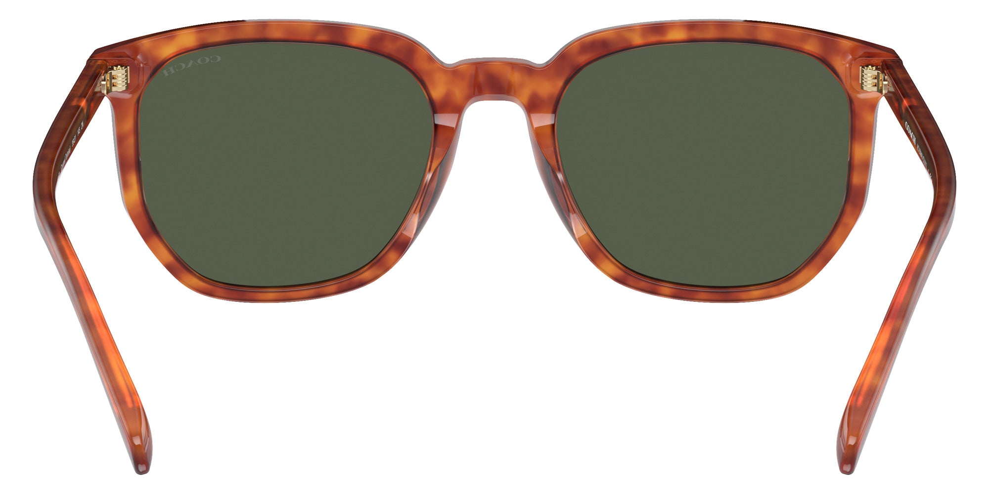 Coach HC8384U CL911 577482 55 - Caramel Tortoise / Green #id:hc8384u577482_s:102115