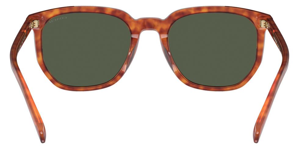 Coach HC8384U CL911 577482 55 - Caramel Tortoise / Green #id:hc8384u577482_s:102115