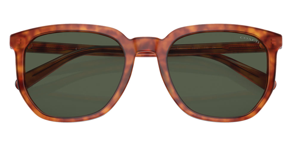 Coach HC8384U CL911 577482 55 - Caramel Tortoise / Green #id:hc8384u577482_s:102120