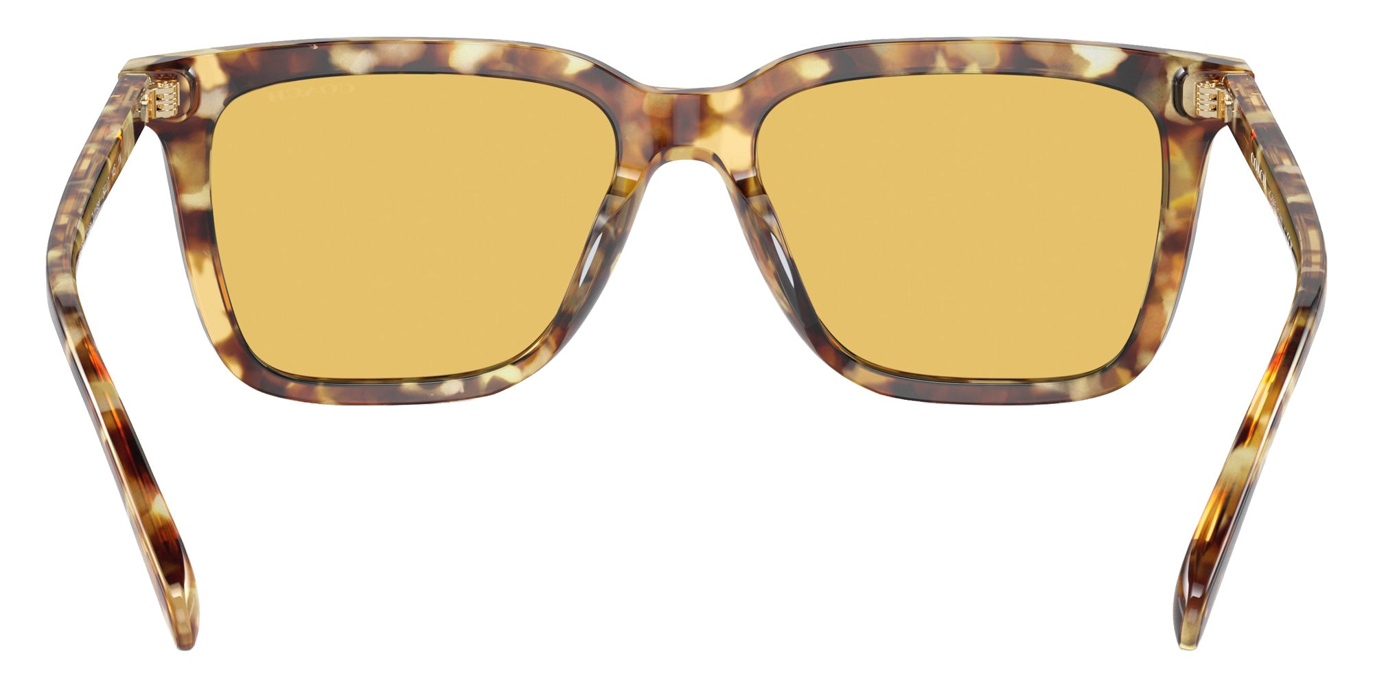 Coach HC8385U CL910 504585 54 - Honey Tortoise / Amber Solid #id:hc8385u504585_s:100115