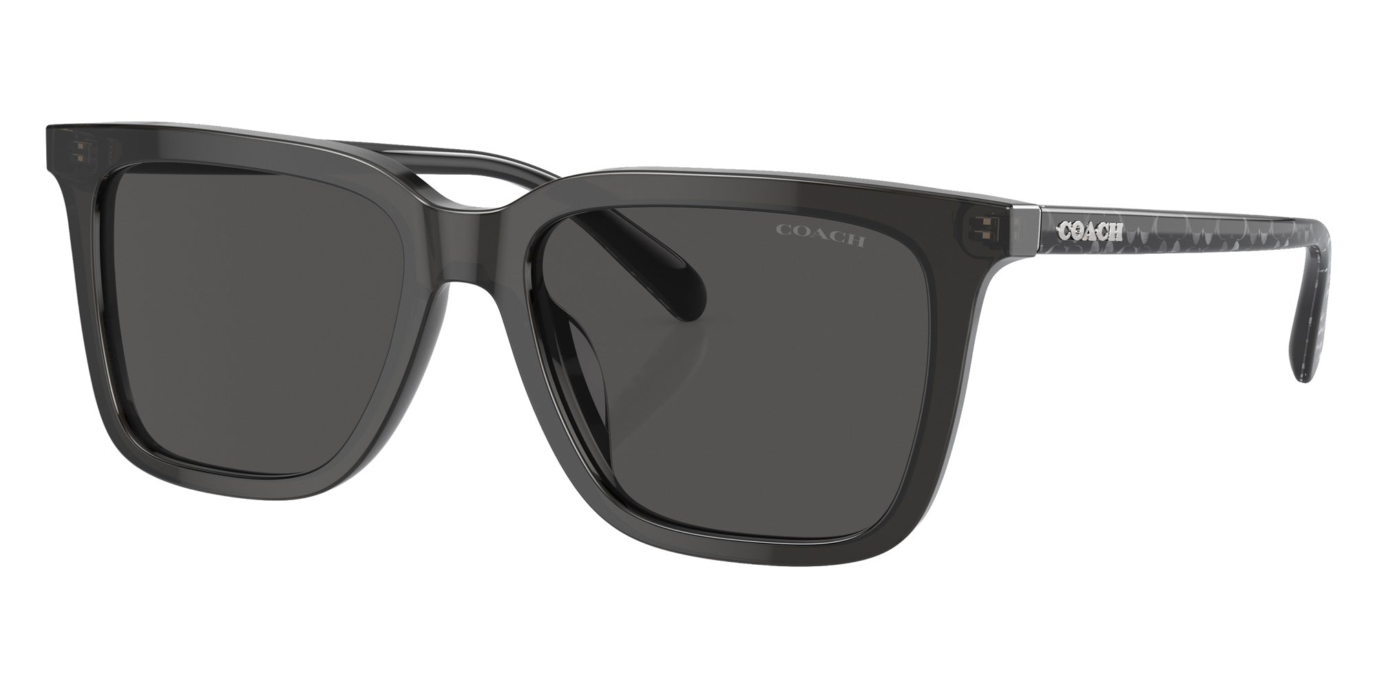 Coach HC8385U CL910 579387 54 - Transparent Dark Gray / Gray Solid #id:hc8385u579387_s:102105