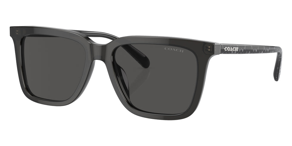 Coach HC8385U CL910 579387 54 - Transparent Dark Gray / Gray Solid #id:hc8385u579387_s:102105