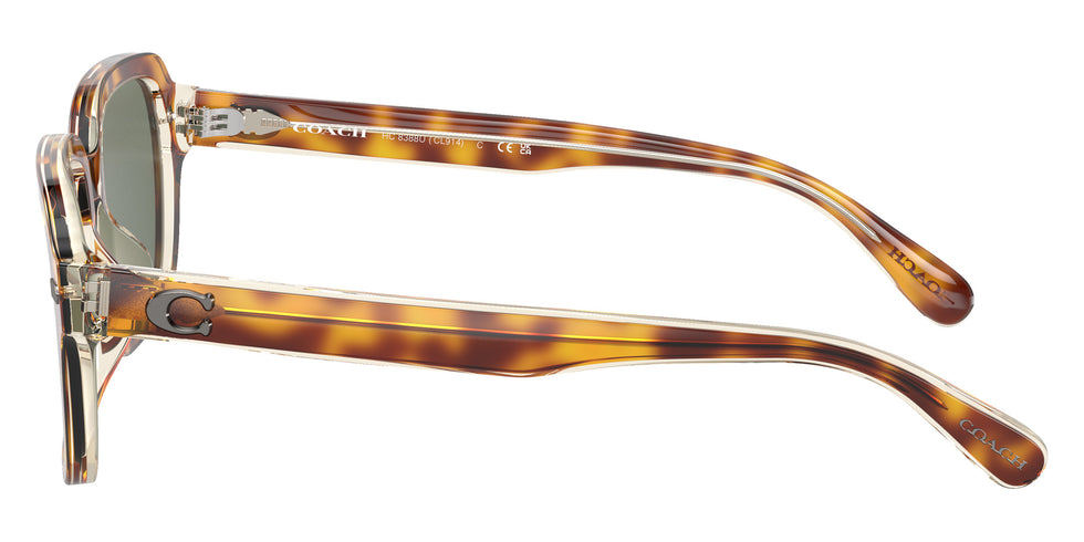 Coach HC8388U CL914 57563H 56 - Dark Tortoise/Canary / Green Solid #id:hc8388u57563h_s:102110