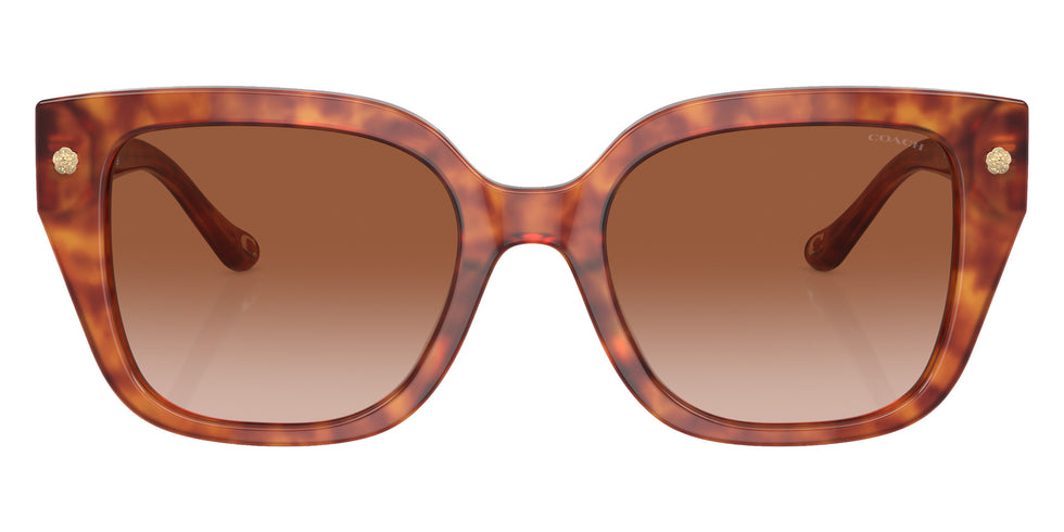 Coach HC8392U CR611 577413 53 - Caramel Tortoise / Brown Gradient #id:hc8392u577413_s:104100