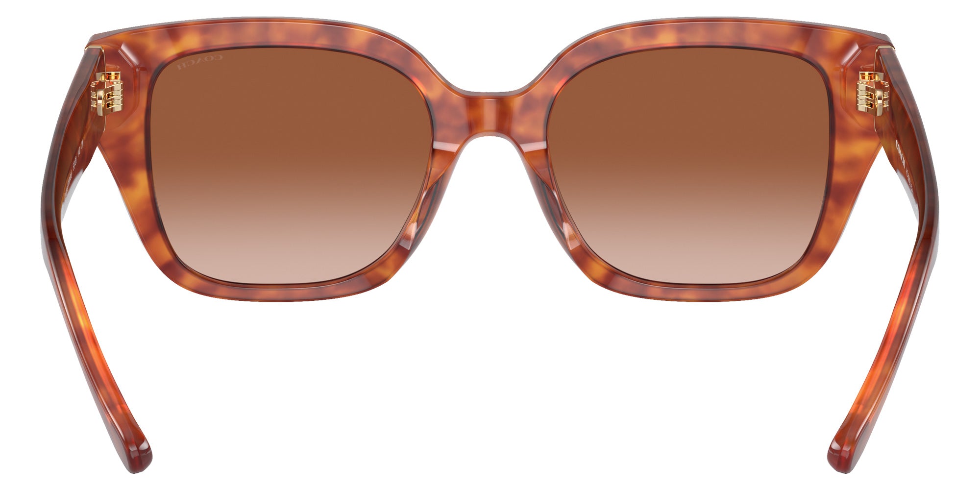 Coach HC8392U CR611 577413 53 - Caramel Tortoise / Brown Gradient #id:hc8392u577413_s:104115