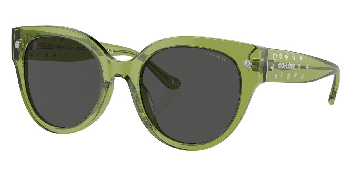 Coach HC8393U CR612 581087 53 - Transparent Key Lime / Gray Solid #id:hc8393u581087_s:100105